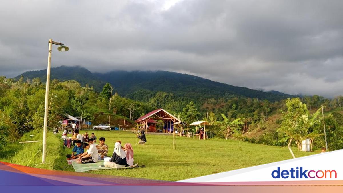 Haii Cafe: Santai di Rinjani dengan Rasa yang Menghangatkan
